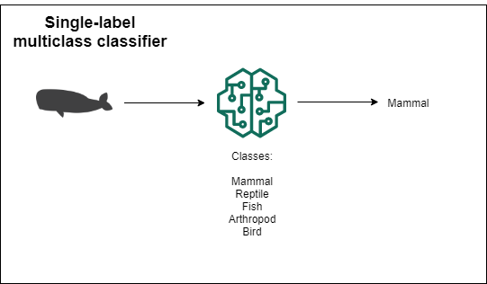 Single-label multiclass classifier