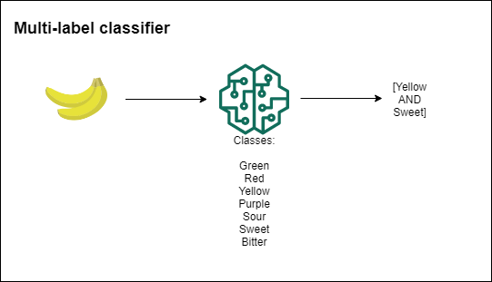 Multi-label multiclass classifier